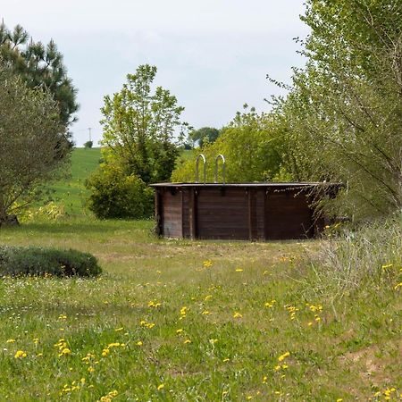 La Decouverte, Jacuzzi, Sauna, Et Terrasse Avec Vue Sur Lac A La Campagne Entre Toulouse Et Auch Catonvielle Экстерьер фото