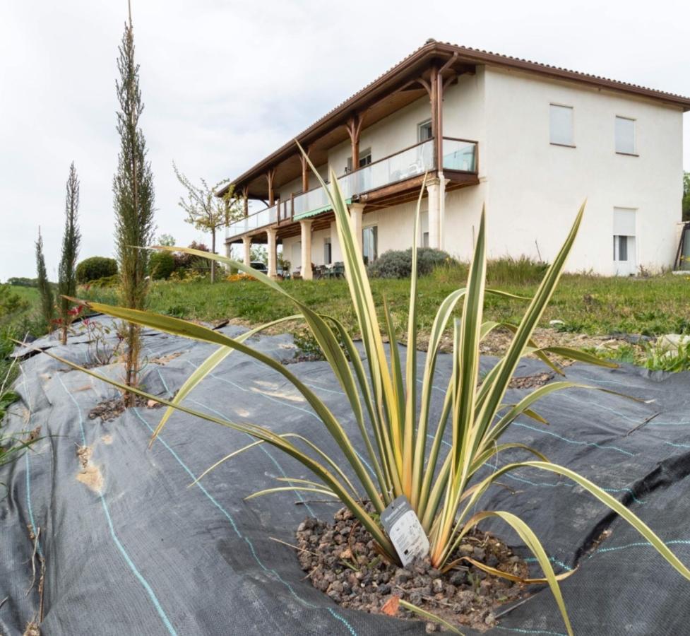 La Decouverte, Jacuzzi, Sauna, Et Terrasse Avec Vue Sur Lac A La Campagne Entre Toulouse Et Auch Catonvielle Экстерьер фото